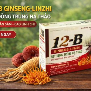 (HD) 12B Ginseng Linzhi New cao cấp-Hộp 10 vỉ x 10 viên Hộp to