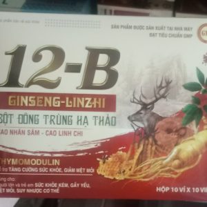 (HD) 12B Ginseng Linzhi New cao cấp-Hộp 10 vỉ x 10 viên Hộp to