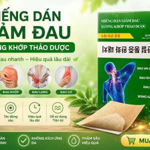 (HD) Miếng dán giảm đau xương khớp thảo dược bản to-Hộp 10 miếng