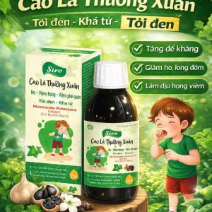 (HD) Siro Ho Tỏi Đen Cao Lá Thường Xuân-Hộp 1 Lọ x 125ml bổ phế giảm ho hóa đờm
