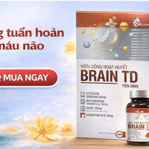 (HD) Hoạt Huyết Tiền Đình TĐ-Hộp cứng 1 Lọ x 30 viên