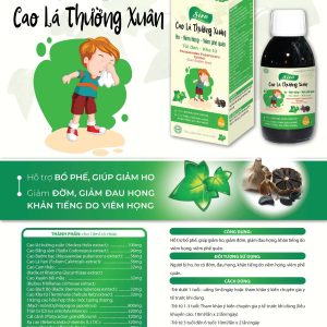 (HD) Siro Ho Tỏi Đen Cao Lá Thường Xuân-Hộp 1 Lọ x 125ml bổ phế giảm ho hóa đờm