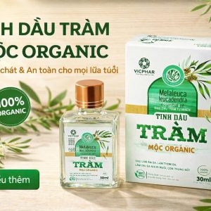 (HD) Tinh dầu tràm 30ml chai vuông-Tràm Malaleuca Organic cao cấp