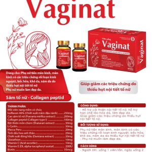 Viên uống nội tiết tố nữ Vaginat-Hộp cứng 2 Lọ x 30 viên